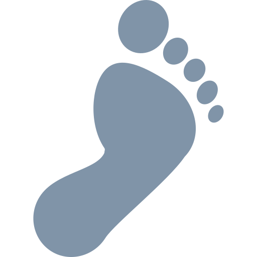 FOOTPRINT